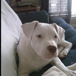 Meet your Posher, Barbie